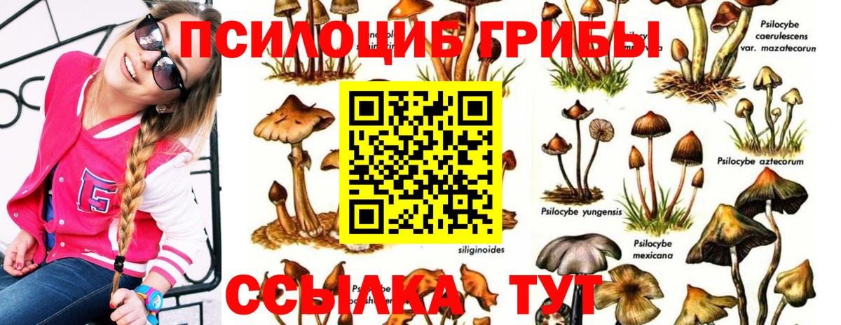 Псилоцибиновые грибы MAGIC MUSHROOMS  Псилоцибиновые грибы Psilocybine cubensis  Вход с VPN  Чебаркуль 